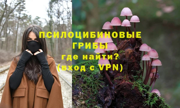 стафф Гусиноозёрск