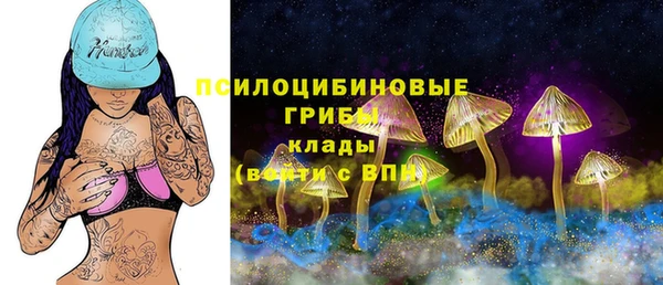 меф Гусев