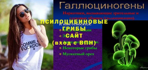 меф Гусев