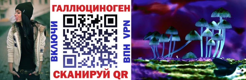 Псилоцибиновые грибы Cubensis  Купить закладки  Фурманов 